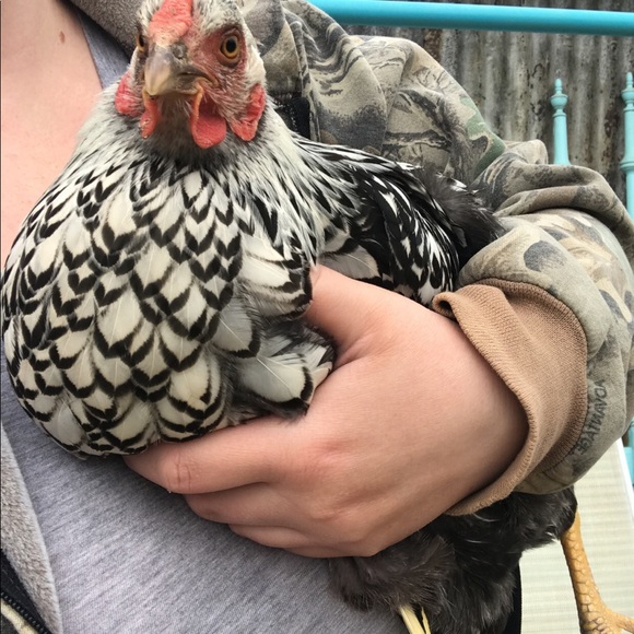 Meet your Posher, Rebecca - Picture 4 of 7